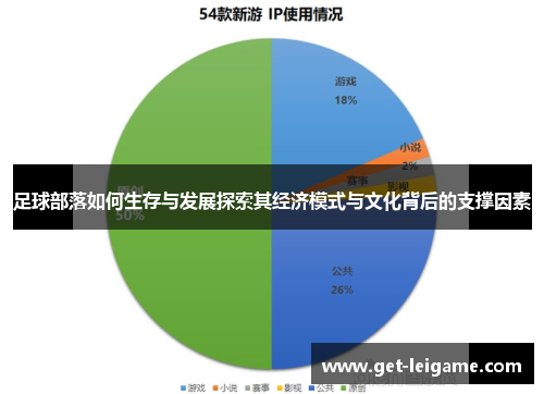 足球部落如何生存与发展探索其经济模式与文化背后的支撑因素 足球部落如何生存与发展探索其经济模式与文化背后的支撑因素