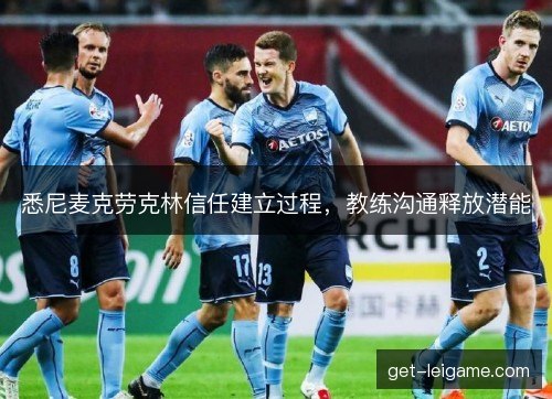 悉尼麦克劳克林信任建立过程,教练沟通释放潜能 悉尼麦克劳克林信任建立过程,教练沟通释放潜能