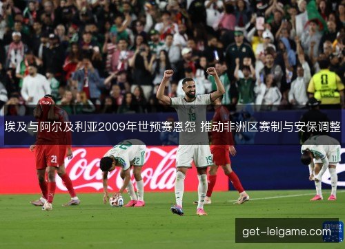 埃及与阿尔及利亚2009年世预赛恩怨 推动非洲区赛制与安保调整 埃及与阿尔及利亚2009年世预赛恩怨 推动非洲区赛制与安保调整